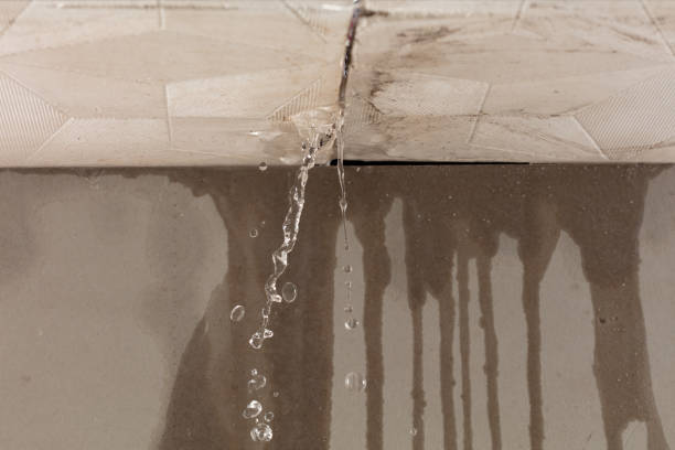 Professional Water Damage Repair technician working in Waller, TX